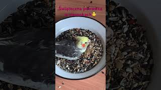 Wielkanocne przepisy na proste potrawy🐥😊