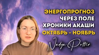 ЭНЕРГОПРОГНОЗ • ХРОНИКИ АКАШИ • НОЯБРЬ • ПОДСКАЗКИ ПОЛЯ • на что обратить внимание? #хроникиакаши