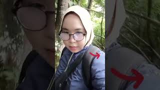 Lagi solo hiking malah liat yg 🤭