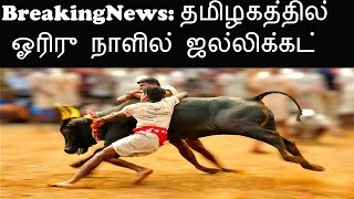 Breaking News : Jallikattu will be held in one or two days - Tamil Nadu CM O Panner selvam