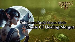 Solo Moon Druid House Of Healing Morgue Acid Pit Honor Run