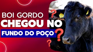 Boi gordo chegou no fundo do poço  ? ? ?