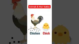 Animals and their babies. #english #esl #learnenglish #shorts