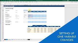 Project Finance: Flexing scenarios through a scenario manager & data table