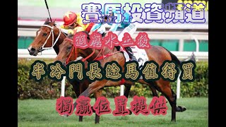 賽馬投資-24/12/2022 香港賽馬第6場貼士心水 WIN PLACE 3X4 HK Horse Racing Tips R6