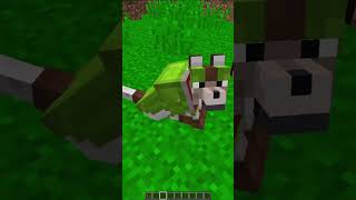 NUOVE ARMOR PER I CANI SU MINECRAFT?! | #shorts  #minecraft