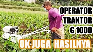 Operator G1000 pakai alat dangir jagung cultivator Quick Kasuari