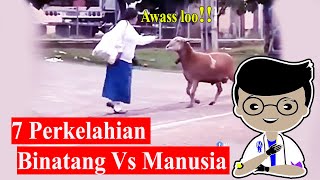 7 PERKELAHIAN BINATANG VS MANUSIA LUCU