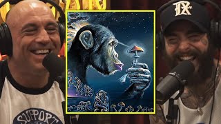 Rogan & Post Malone: "Have You Ever Heard of the 'Stoned Ape' Theory?"