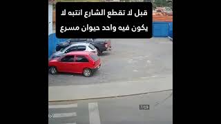 قبل ما تقطع الشارع انتبه من حيوان مسرع ههههه