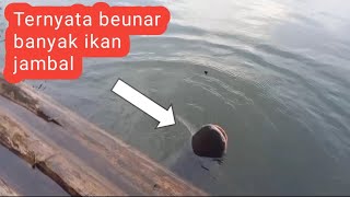 banyak ikan jambalnya!! spot muara cicendo PG cirata.