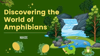 DISCOVERING THE WORLD OF AMPHIBIANS