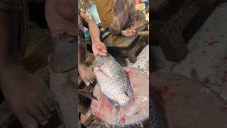 Amazing Tilapia Fish Cutting Skills In Bangladesh Fish Market #shorts