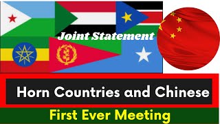 Ethiopia |Horn Countries and Chinese Meeting |Addis Ababa |Kenya |Eritrea |Sudan |Somalia