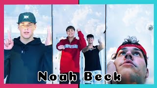 Noah Beck - TikTok Compilation