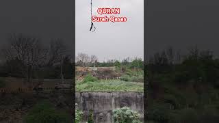 Quran Surah Qasas Urdu Translate #quran #qurantarjuma #islam #islamic #allah #shorts