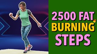 Fat Burning Walking Workout - 2500 Steps at Home