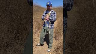 Trying to hold onto summer like… #nature #hike #hiking #gophersnake #wildlife #wow #snakes #shorts