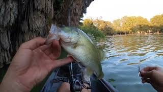 Hooked something BIG and it broke me off plus (SCHOOLING BAIT FISH)