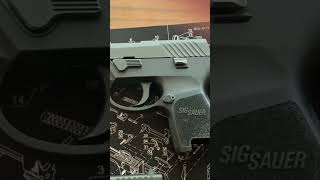 Sig or Glock?