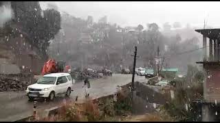 Snow fall at  shimla by @aravallikids  ,#shimla , #snow , #snowfall