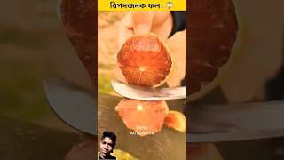 এই ফলটি থেকে সাবধান ✋😱 mini wood-toy woodworking art skill wood/ handcraft #shorts #viral