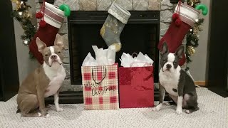 Toby and Leo opening up their stockings