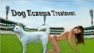 #Dog​ #Eczema​# Treatment #। #Murraha​ #Dog​ & goat meeting treatment   Top Animel