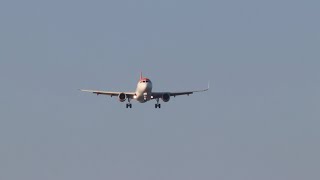 Venice Plane Spotting [03/2022] | EasyJet and Ryanair Landing