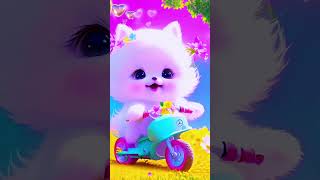 Cute Cats Billi Naat//Hasbi Rabbi Jallallah//Islamic video #cute #youtubeshorts #cat #short