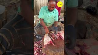 KASIMEDU STINGRAY FISH CUTTING VIDEO CUTTING #kasimeduselvam #shotrs #bigfishcutting #youtube