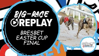 2023 BresBet Easter Cup Final - Swords Rex | Greyhound Race Replays | 2023 Big Finals