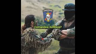 COMANF Edit - "Guerreiros Audazes, Unidos, Intrépidos" (Status/Militar) #comandos #elite #anfíbios