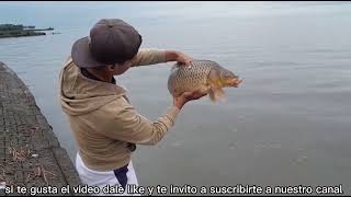 HERMOSO DIA NOS TOCA RIO PLACHADO EN LA PLAYITA DE OLIVOS  (FELIZ DÍA DEL PESCADOR)