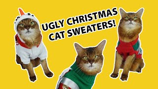 Cute Cat in Ugly Christmas Sweaters 🙀🎄 #cats #christmas