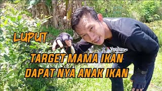 TARGET MAMA IKAN DAPATNYA ANAK IKAN, JELAWAT, TAWES,  NILEM BABON | IYAN KUKAR FISHING