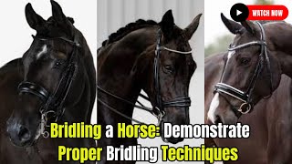 Bridling a Horse: Proper Bridling Techniques Horse Breeding  #secretanimals @secret_animals