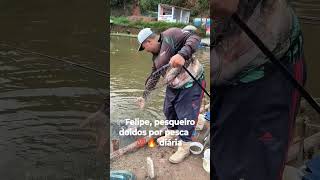 pesqueiro saí peixe de mais . pesqueiro doidos por pesca. #pesca #pesqueiro