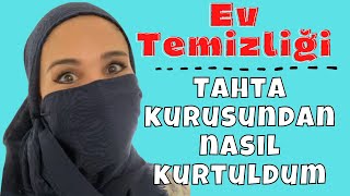 Tahta kurusu | Tahta kurusu nasıl yok edilir | Ev temizliği