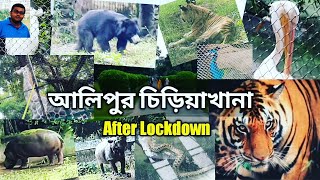 Kolkata alipur zoo after Lockdown|আলিপুর চিড়িয়াখানা|Alipur chiriakhana| pets & animals|Kolkata zoo