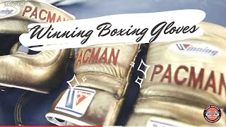 VLOG #7 WHATS THE BEST BOXING GLOVE