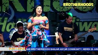 Tak Kau Hirukan - Ayu Arsitha| New Pallapa Brotherhoods 2017