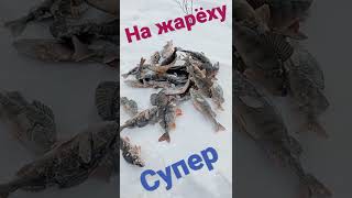 Рыба на Рыбалке просто рыба#shorts Просто Рыбалка#fishing