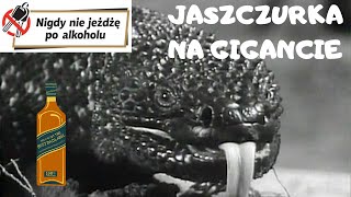 GNIOT w rozmiarze XXL, czyli GIGANTYCZNA JASZCZURKA! *W Słabym Kinie #69*