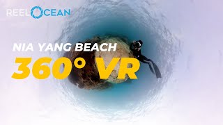 Nai Yang Beach: 360° VR Meditation in Phuket's Coastal Oasis 🌴🌊