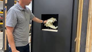 Magnetic key, tilt sensor, no I'll take the lions skull