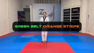 Green Belt - Hand Tech. Forward, Backward, Side, target Elbow Strike - Orange Stripe