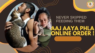 Day 10 | Aaj hume aaye online orders | Home office bhi set ho gya pura | Our Journey | DOGOFILL