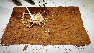 Rug Cleaning ASMR: Watch My Intense Scrubbing Transform This Carpet into Spotless Perfection!