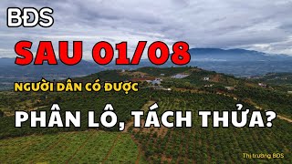 Người dân có được tách thửa khi luật cấm phân lô, bán nền có hiệu lực ? BĐS Thường Ngày